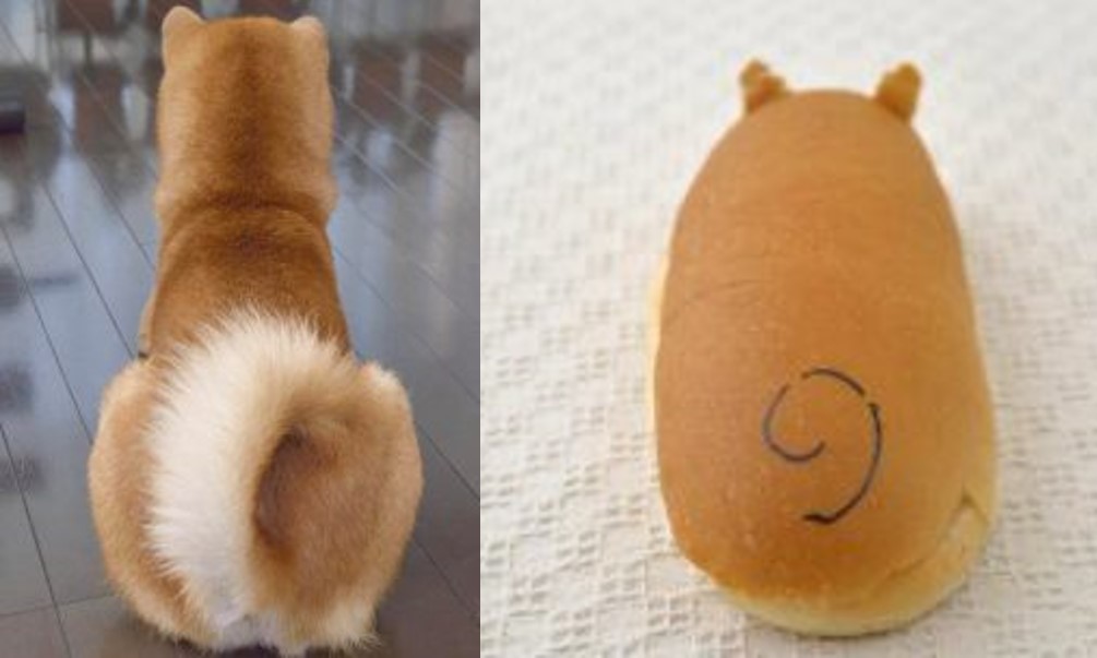 似ているのは色？形？柴犬がコッペンパンサンドになりきってみた！ ShiBa【シーバ】プラス犬びより│犬と楽しく暮らす！情報マガジン