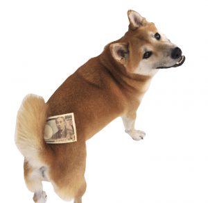 犬の税金