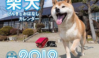 2019カレンダー 柴犬げんきな おはなしカレンダー