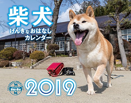 2019カレンダー 柴犬げんきな おはなしカレンダー