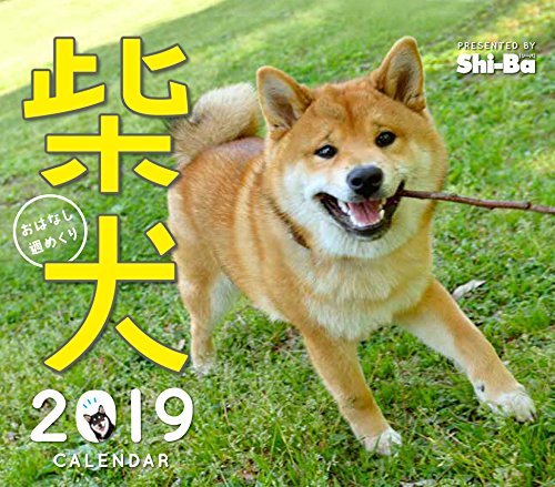 2019カレンダー 柴犬おはなし週めくり