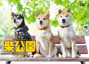 おっさん3人 柴犬3匹 柴公園 Tvシリーズ Dvd Boxが4月26日発売 Shi Ba シーバ プラス犬びより 犬 と楽しく暮らす 情報マガジン