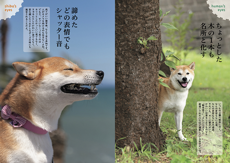 21年も発売 犬川柳 最新刊で川柳募集をスタート Shi Ba シーバ プラス犬びより 犬と楽しく暮らす 情報マガジン