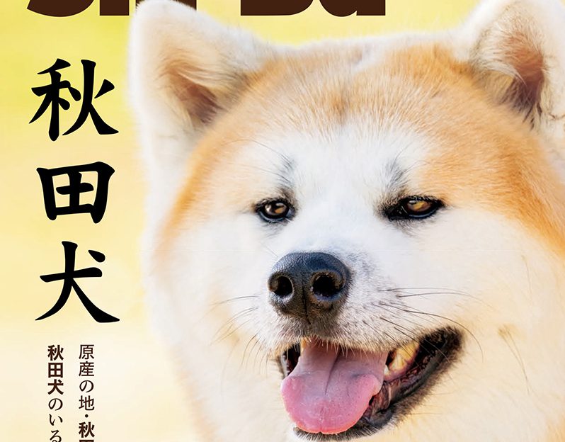 日本犬唯一の大型犬種・秋田犬！ ふるさとの秋田県まで取材に赴き