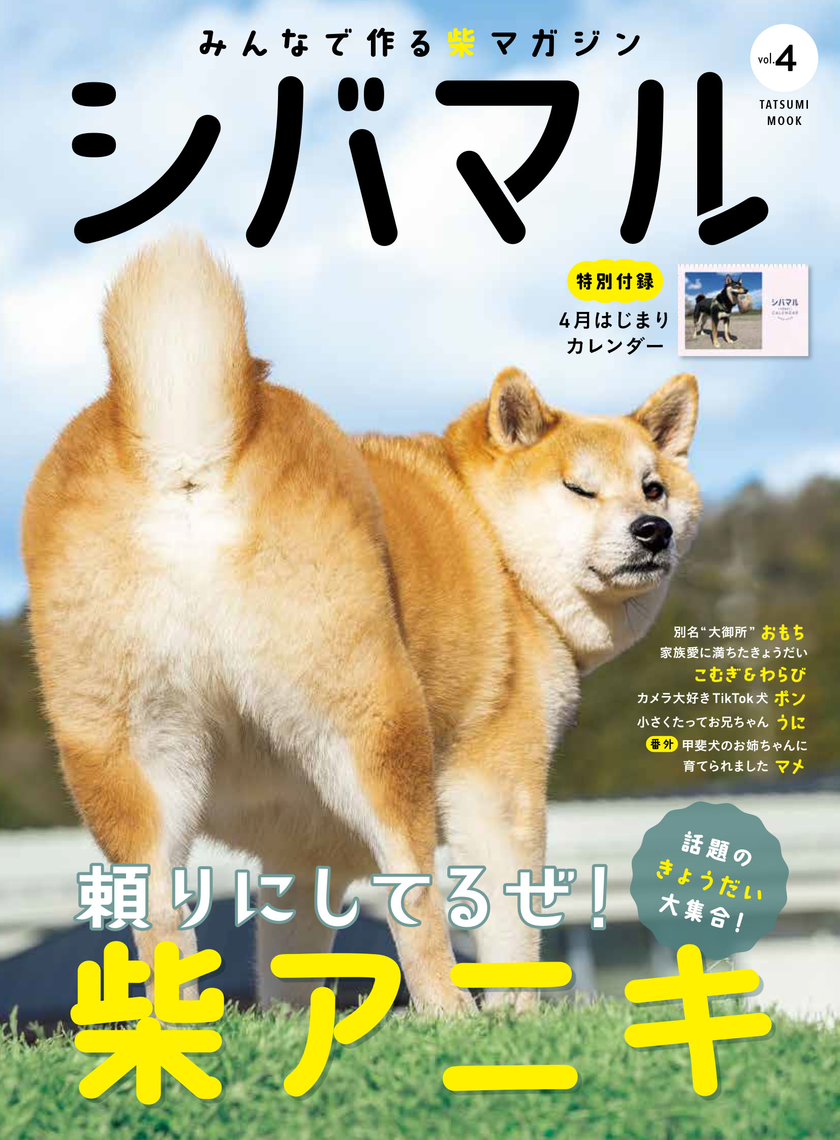 シバマル』Vol.4 好評発売中！ 人気の柴犬きょうだい大集合＆仲良く暮らす姿にほっこり -