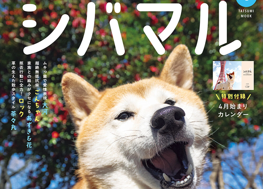 個性が光る、愛すべき“クセつよ”な柴犬たちを取材した『シバマル