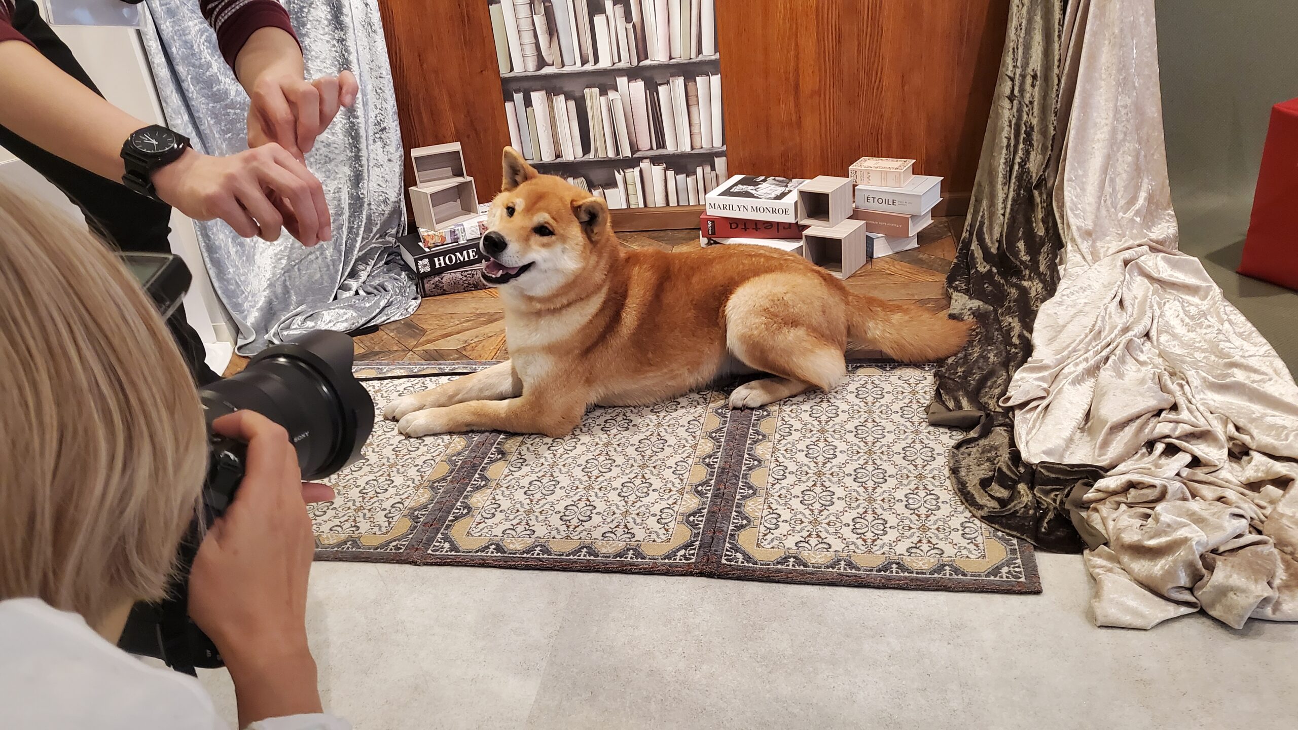 愛犬と那須ハイランドパークで撮影！ 日本犬専門誌『Shi-Ba