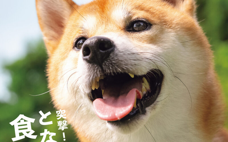 shi-ba です。 Shi-Ba(シーバ) Shi-Ba 夏号 (発売日2023年05月29日) | 雑誌